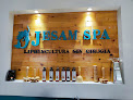 Jesam Spa