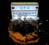 Spa Elephant